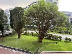 Hollywood Apartments (D9), Apartment #519029461